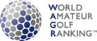 Event sponsor logo